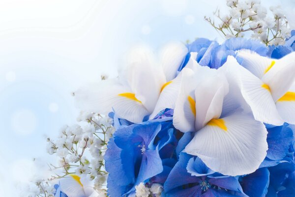 Schöne Frühlingsblumen auf Himmelshintergrund