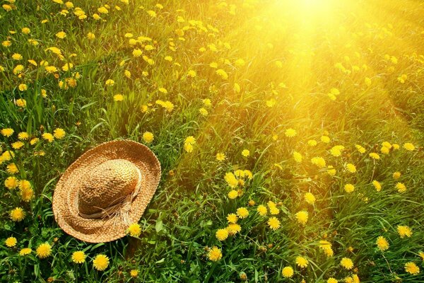 Wicker hat on the grass with yellow dandelions