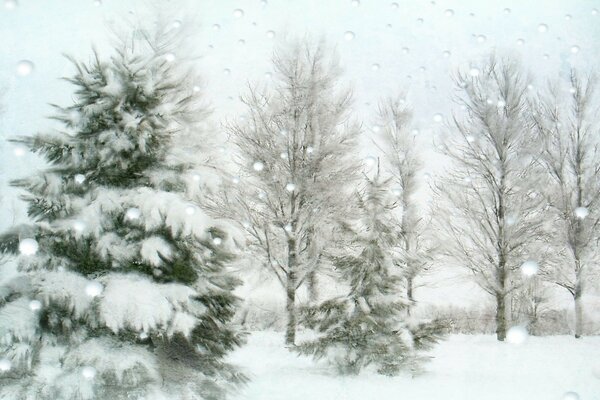 Flauschiger Weihnachtsbaum im Schnee im Winter