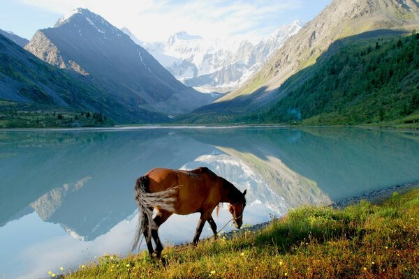 Mountain landscape with a horse by the lake