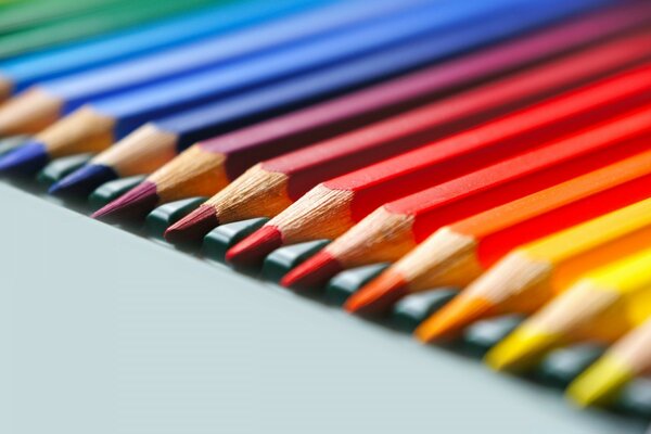 Well-sharpened multi-colored pencils