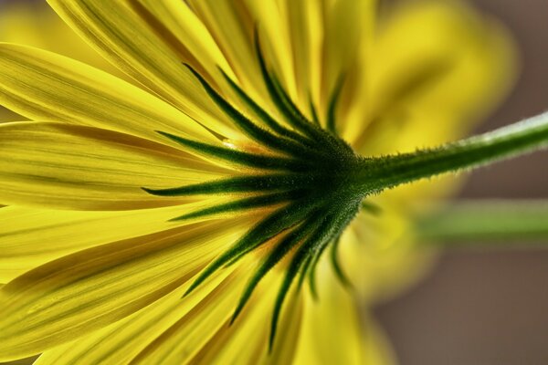 Macro de couleurs sous différents angles