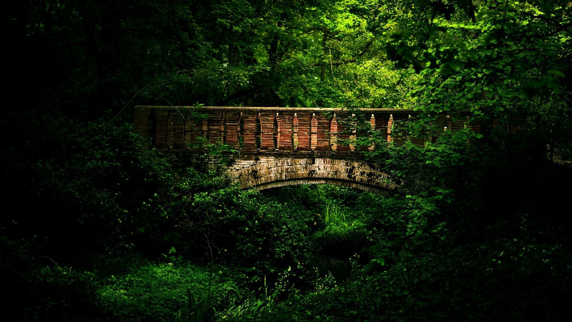 parks holz landschaft baum brücke alt blatt im freien reisen tageslicht natur