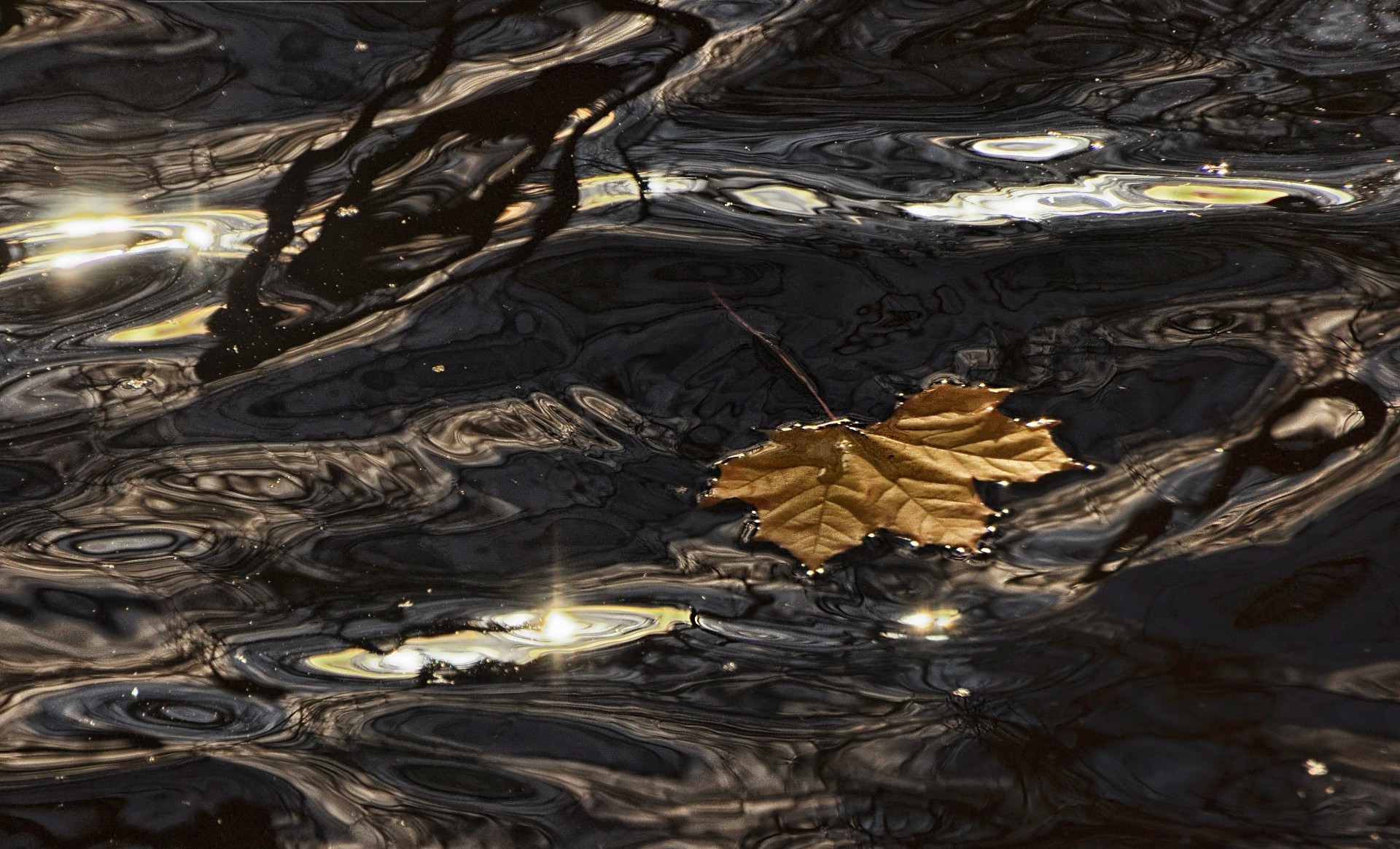 rivers ponds and streams reflection water landscape environment lake calamity river abstract desktop texture pool