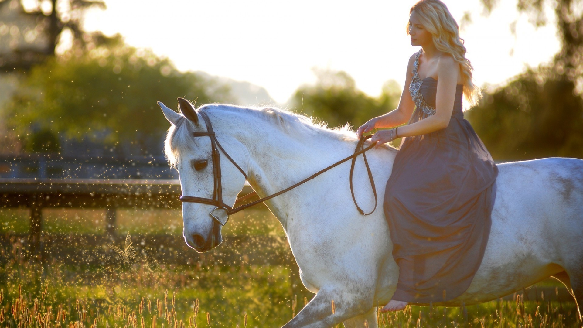 con animales solo al aire libre naturaleza hierba felicidad caballo caballería mamífero hermoso ocio verano heno movimiento estilo de vida placer mujer amor sentado niña desenfoque