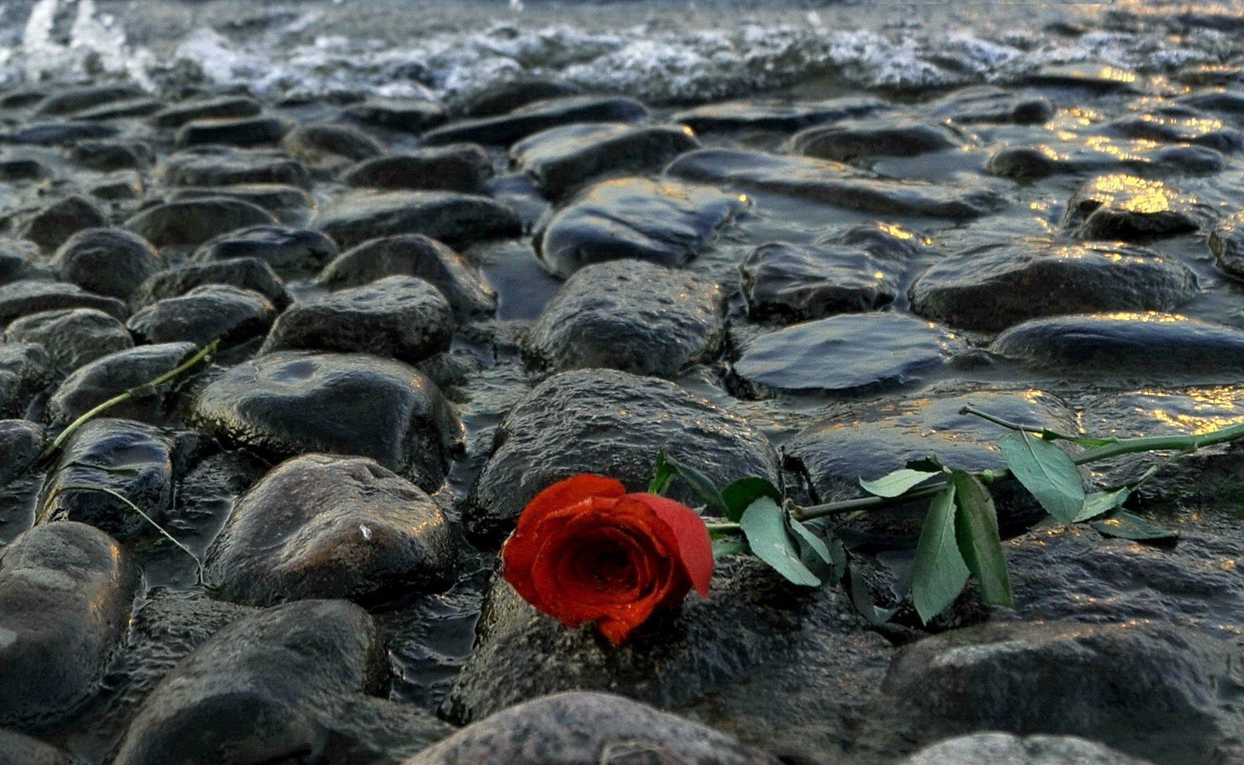 landscapes water nature rock sea beach outdoors seashore ocean desktop stone summer shore river wet