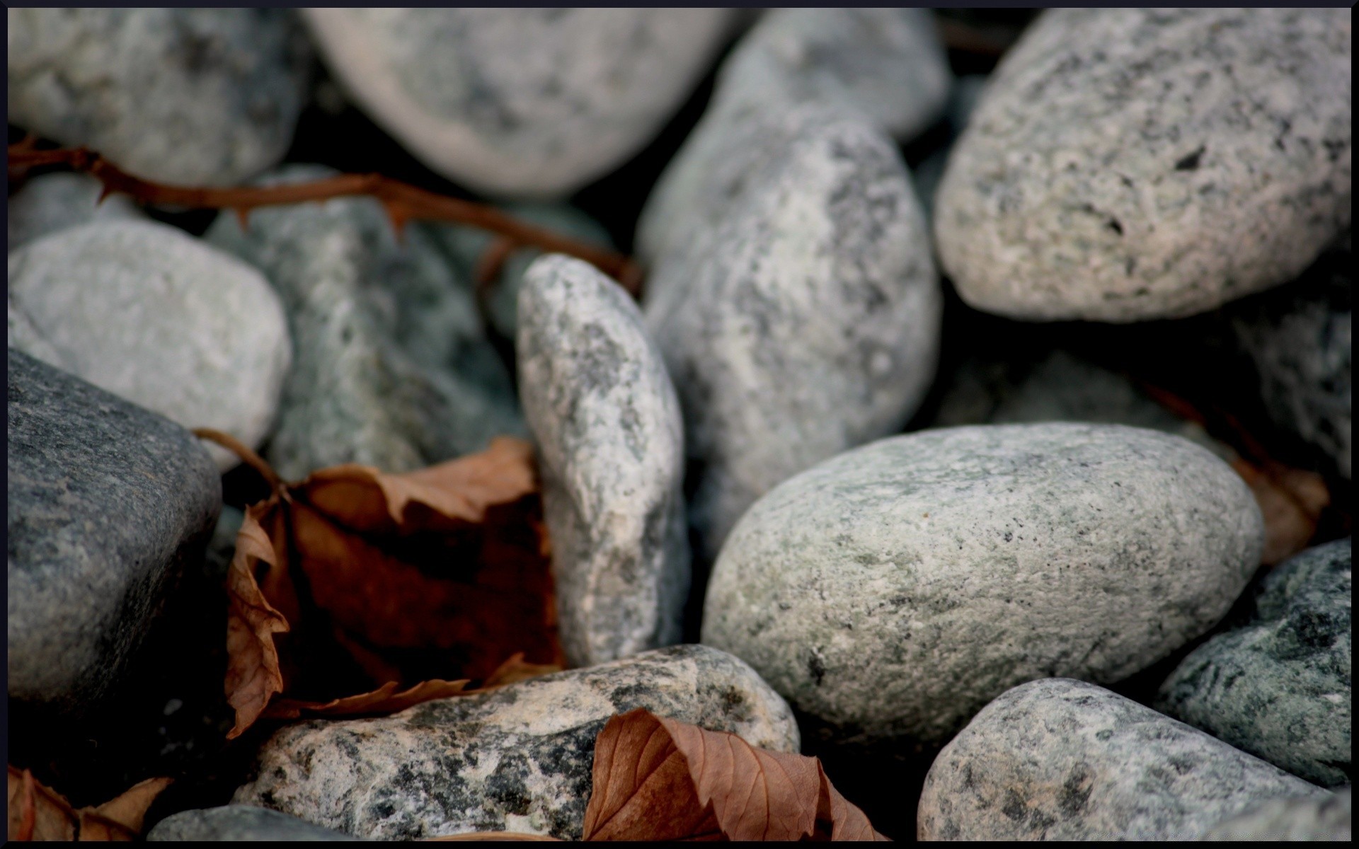 macro pierre rock nature zen équilibre boulder pavé bureau harmonie stabilité pile lisse partie gros plan granit gravier dur texture