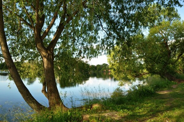 I love nature landscapes with a lake!