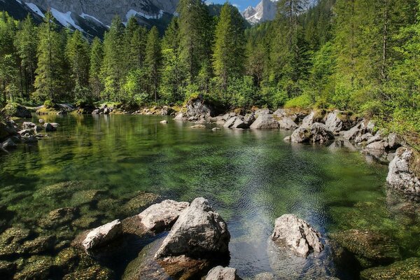 Ein Foto mit einem transparenten Teich unter den Steinen auf dem Hintergrund eines hohen Nadelwaldes und der Berge