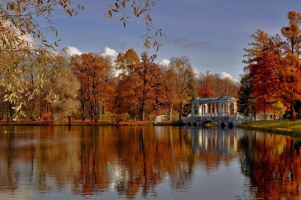 Otoño dorado, las hojas se vuelven amarillas en los árboles, el lago es grande