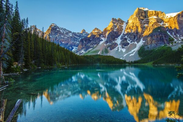 A lake in the mountains surrounded by forest