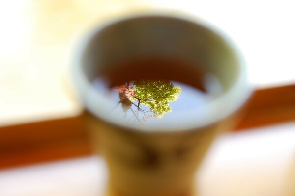 Macro photography a glass of tea