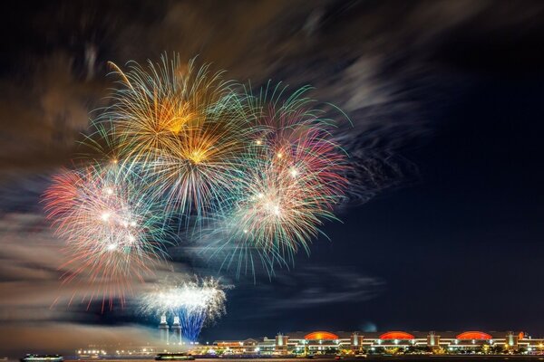 美丽的节日烟花。 节日