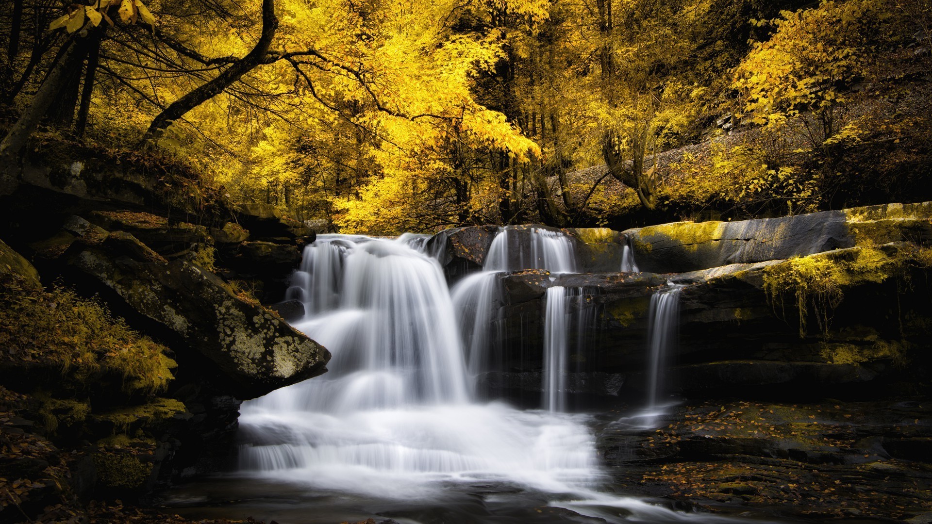 cascades automne cascade eau rivière bois feuille nature paysage ruisseau à l extérieur ruisseau arbre parc photographie voyage - rapids cascade rock mousse