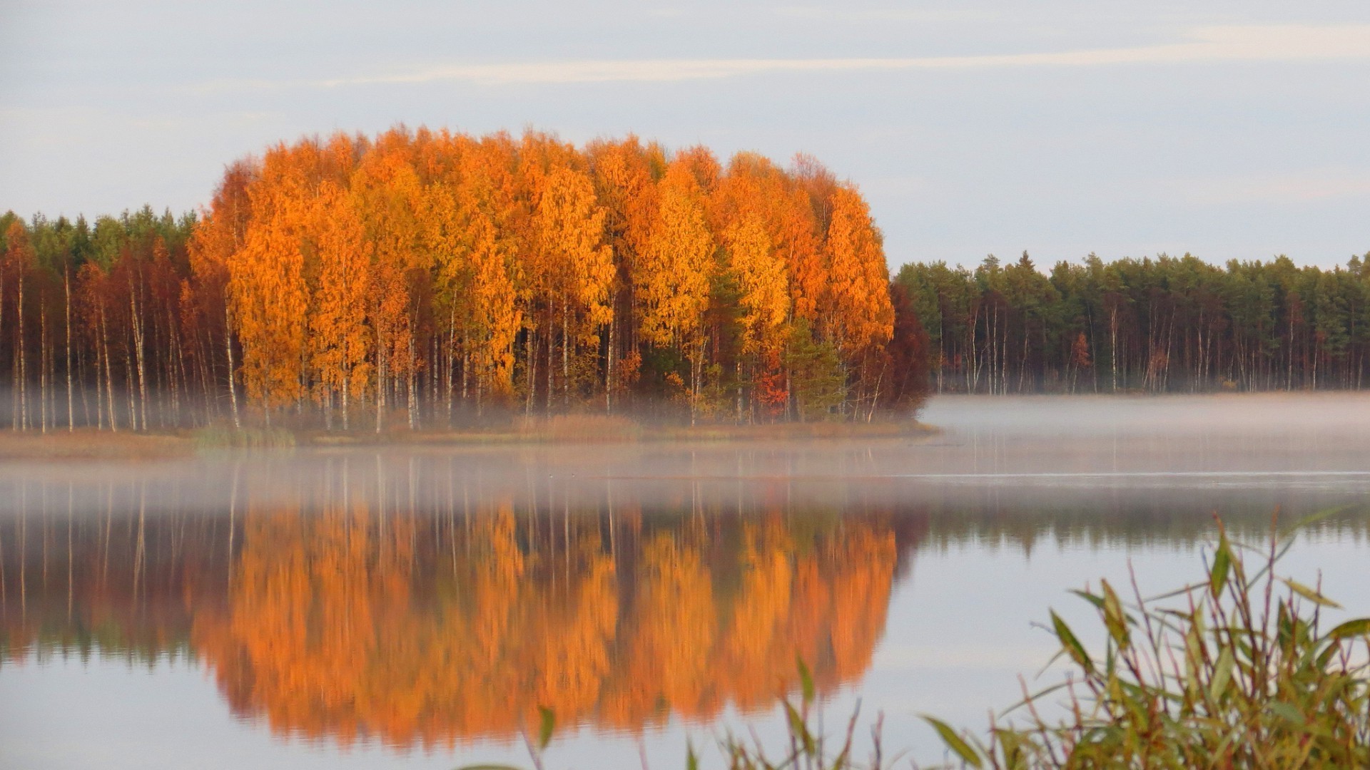 autunno autunno lago albero alba natura acqua legno all aperto riflessione paesaggio foglia fiume freddezza scenic pleside