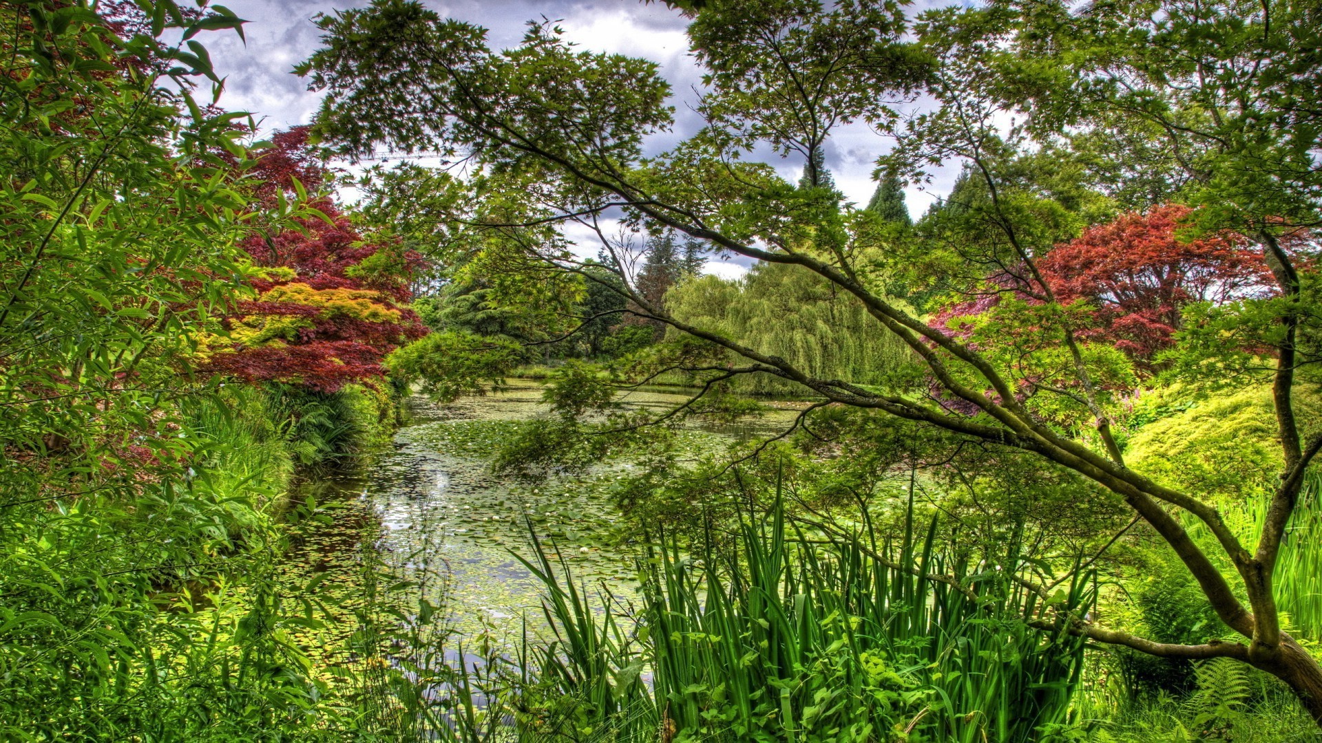 forest nature wood landscape leaf tree park flora water season environment scenery summer scenic scene fall lush outdoors sight grass