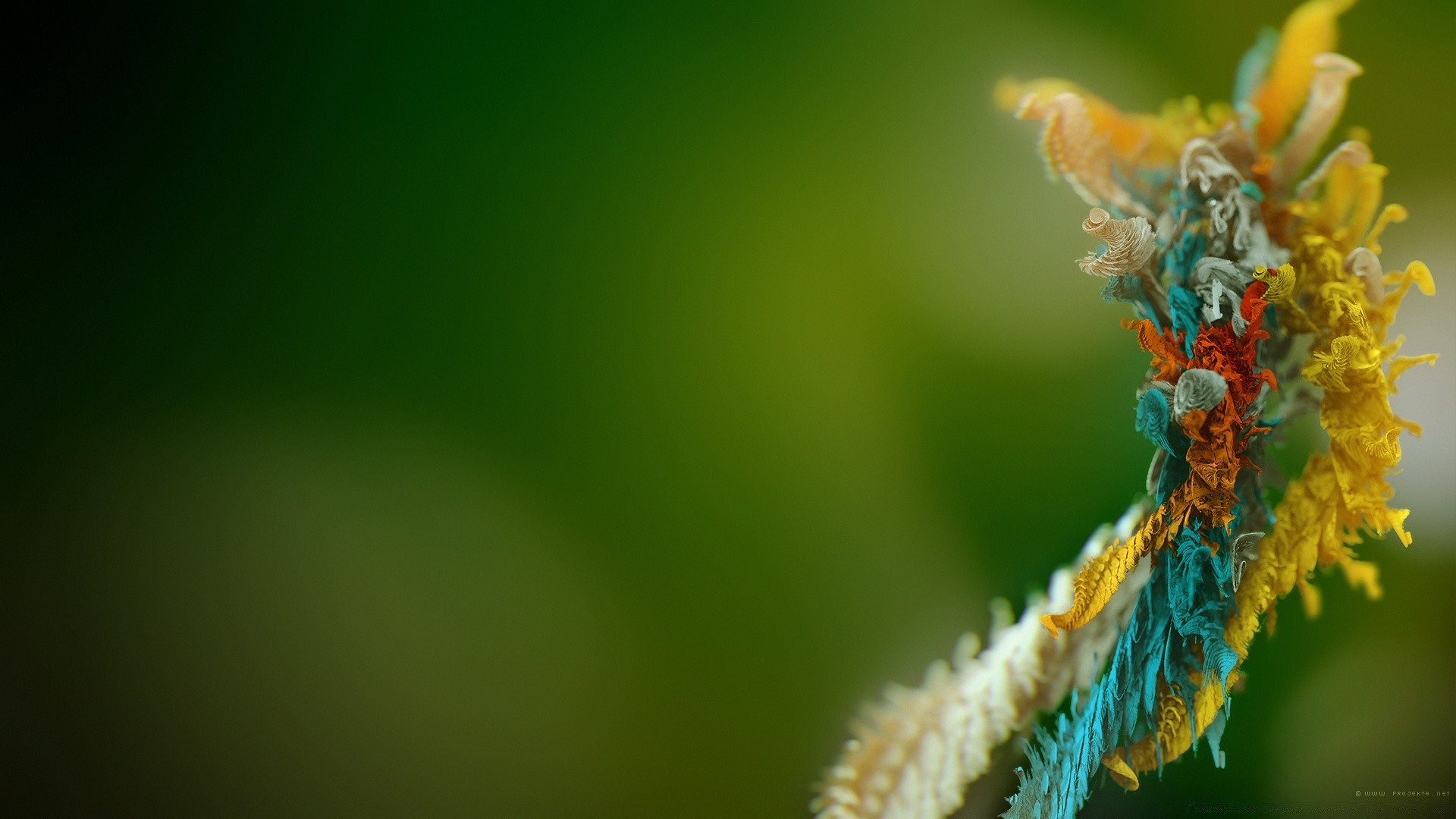 macro naturaleza hoja desenfoque flor verano al aire libre dof flora abstracto insecto