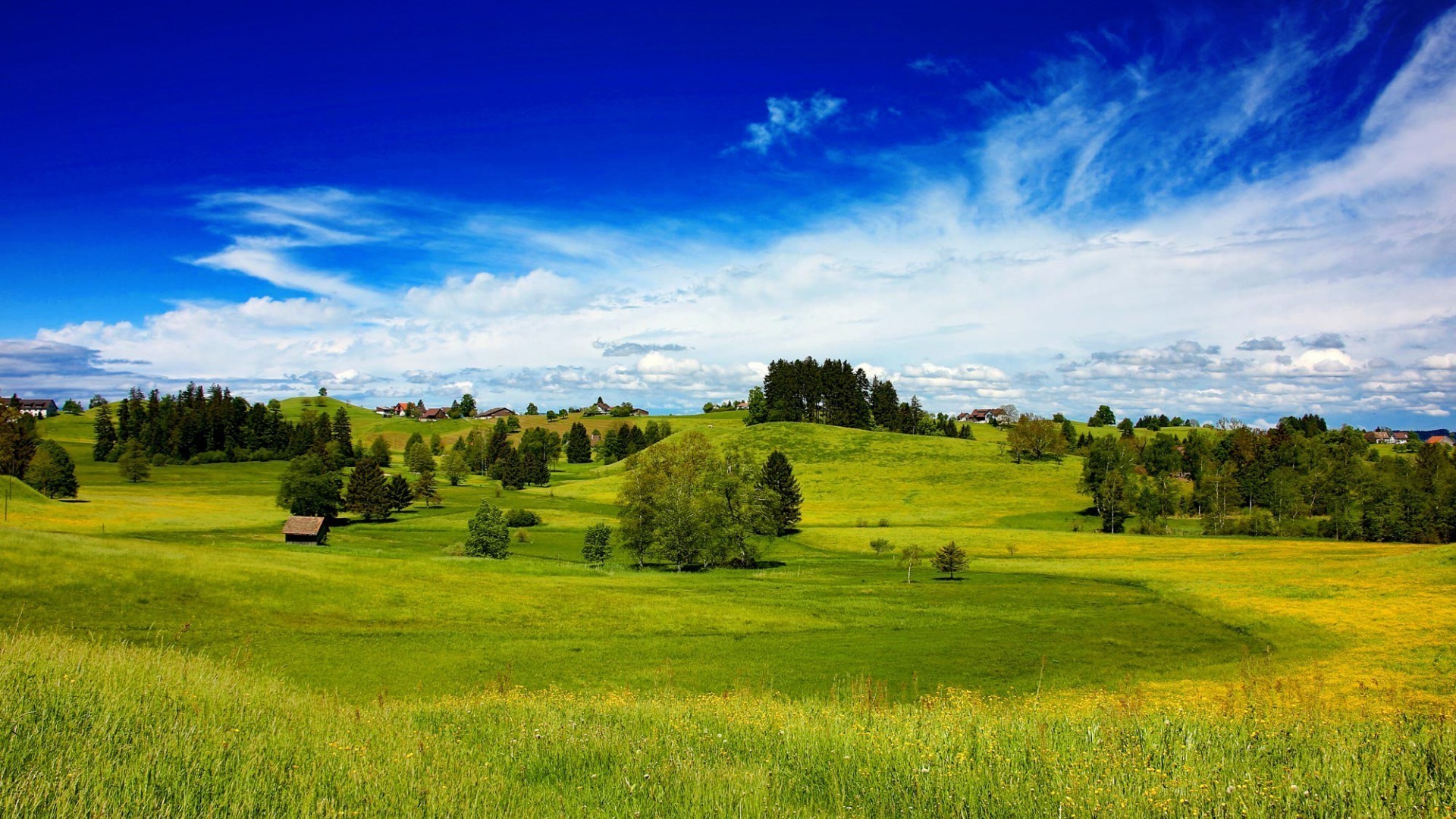 campi prati e valli paesaggio natura fieno campo agricoltura albero erba campagna rurale cielo estate pascolo all aperto fattoria paese collina pascolo pittoresco idillio