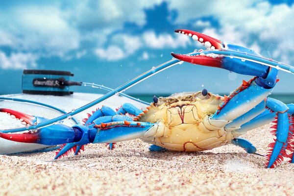 Le crabe bleu appelle sur le chemin de la mer