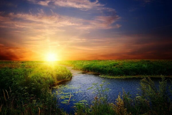 Fluss im grünen Gras bei Sonnenuntergang