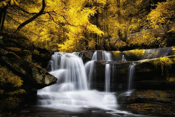 The waterfall flows into the river against the background of autumn trees