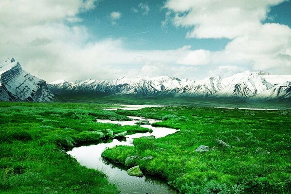 池塘和溪流的自然景观