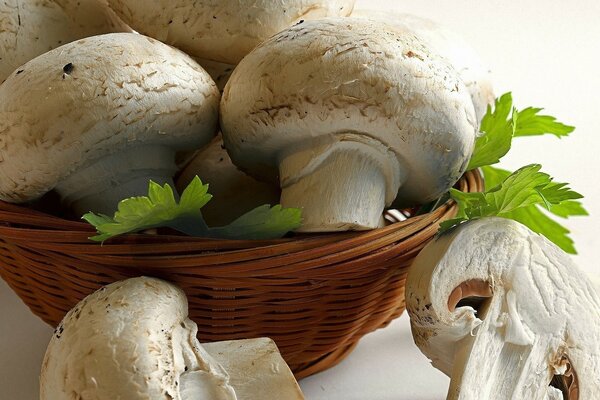 Mushrooms in a basket on a white background