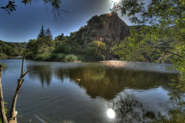 Der Berg ist stromlinienförmig durch den Fluss und um Bäume und Büsche herum