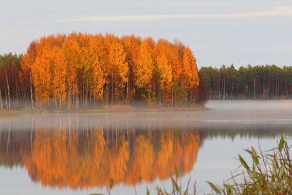 Autumn dawn with trees on the lake