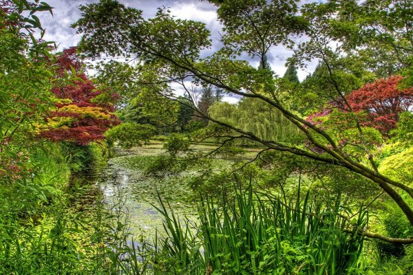 Paisagem, agora para a pesca