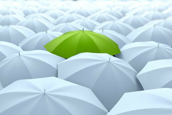 Un parapluie vert lumineux sur fond blanc