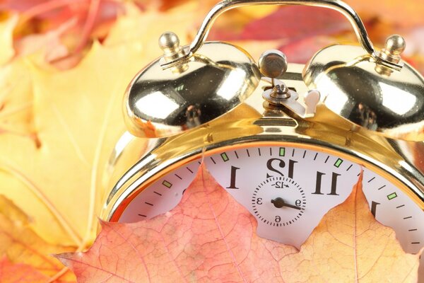 Alarm clock in golden leaves