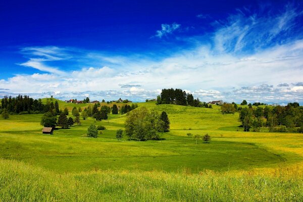 Landschaft der Natur im Sommer mit Bäumen