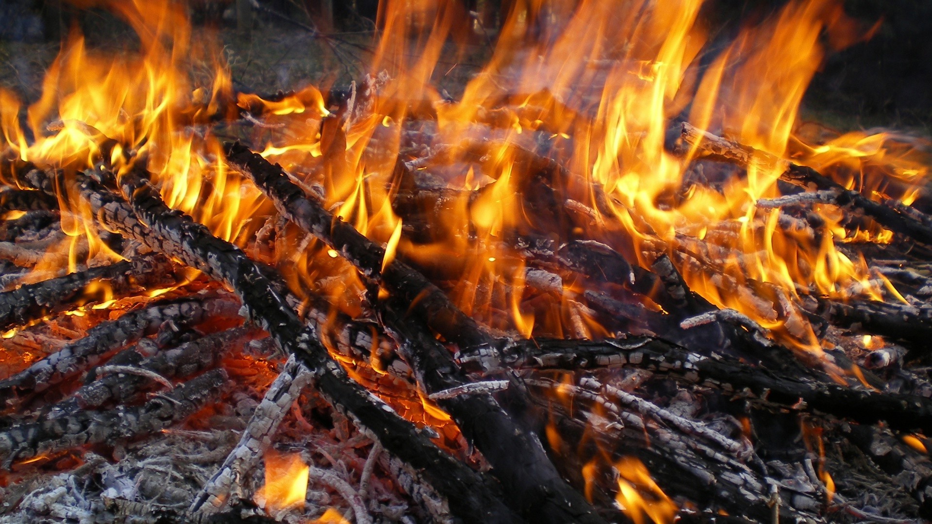 пламя костра костер тепло уголь камин сжечь уголь дрова ясень горячая инферно тепло дым блейз легковоспламеняющиеся зажечь пожар температура лагерь