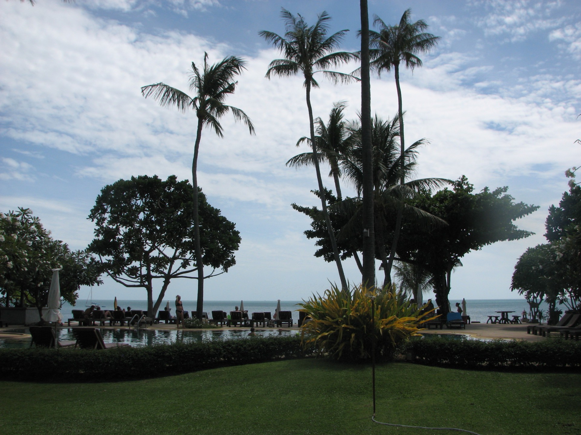 дерево ладони курорт отдых путешествия тропический отдых отель отпуск воды дневной свет остров пляж туризм моря на открытом воздухе небо роскошные парк