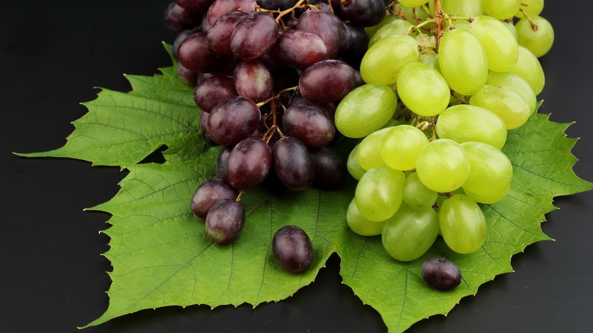 baies fruits vigne juteuse nourriture raisin baie feuille en bonne santé pâturage pamplemousse vins grandir confiserie vignoble pile cave santé nature agriculture