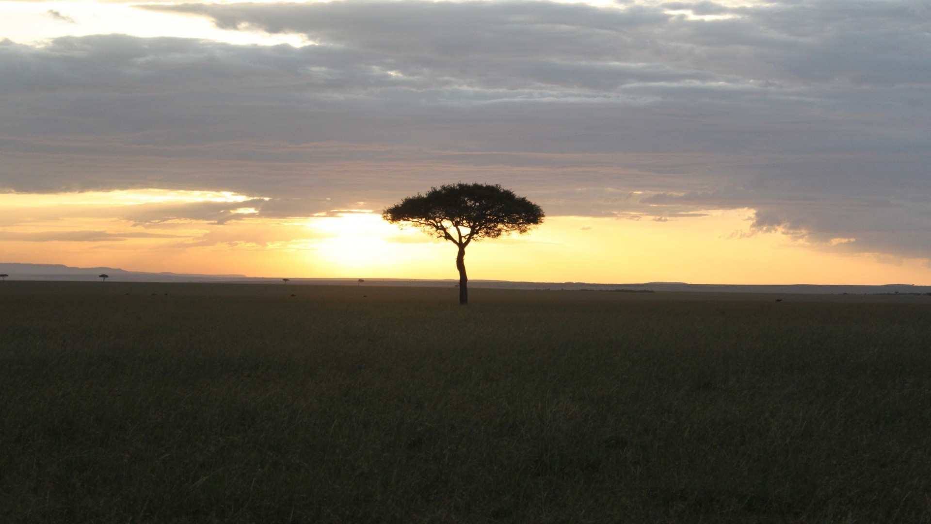 árvores pôr do sol amanhecer paisagem noite crepúsculo árvore sol céu retroiluminado natureza silhueta ao ar livre luz