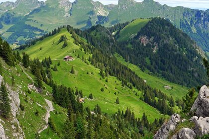 Природный пейзаж зеленые горы