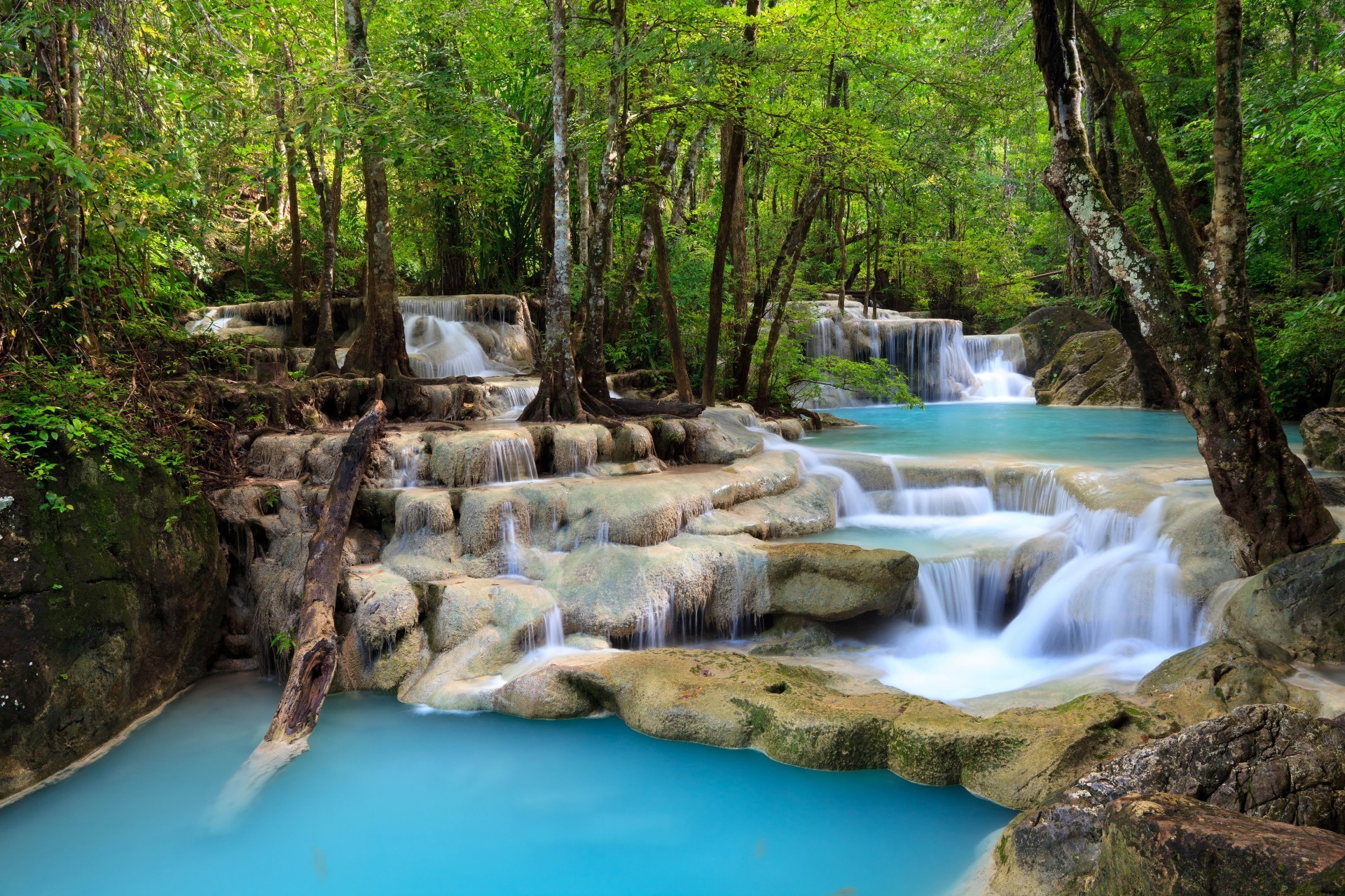 cascades eau bois cascade nature ruisseau rivière ruisseau feuille voyage rock cascade sauvage paysage à l extérieur arbre ruisseau environnement été humide