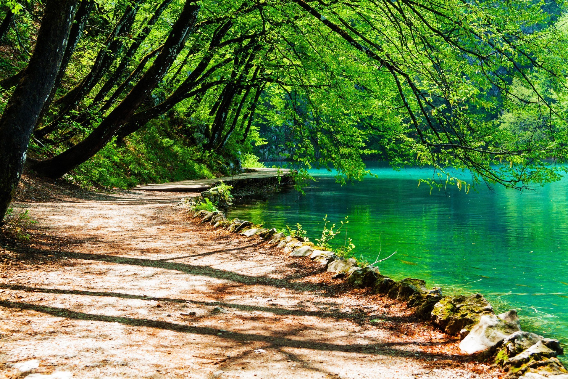 древесины природа воды дерево пейзаж лист лето на открытом воздухе живописный хорошую погоду парк сезон путешествия пейзажи хладнокровие солнце пышные сцена