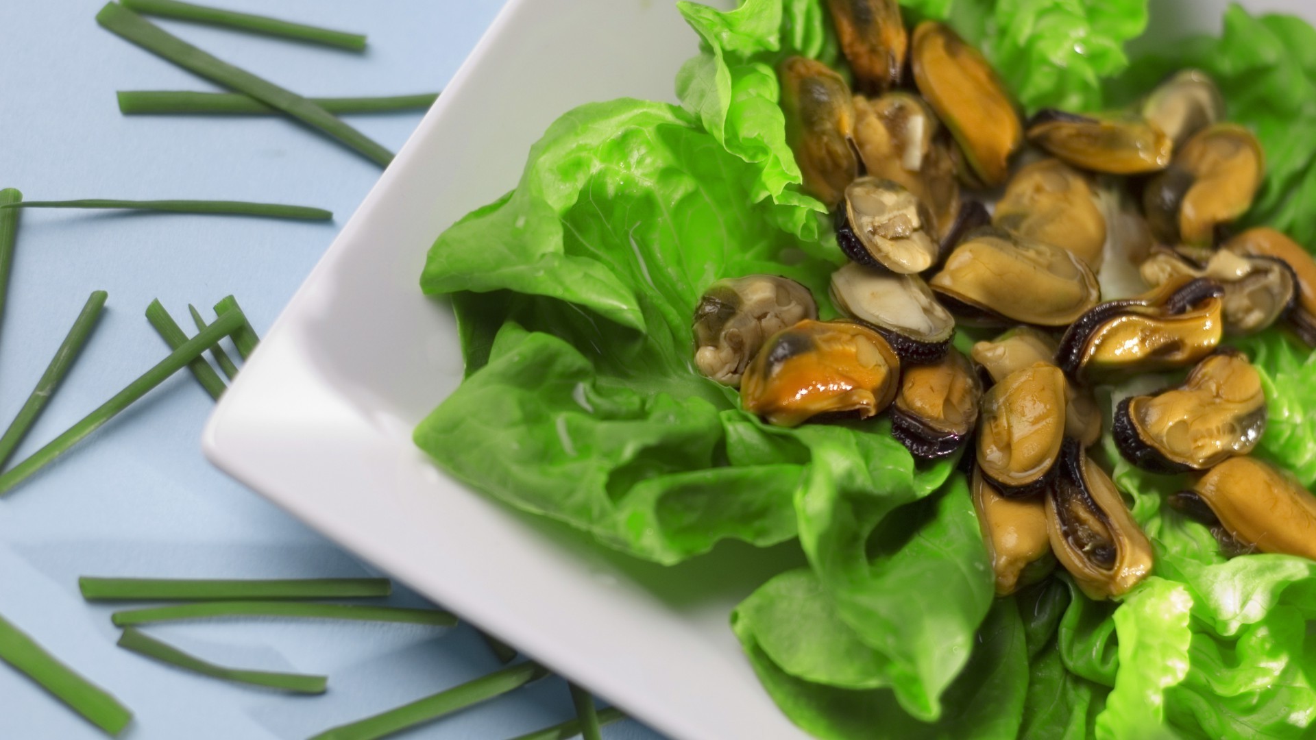 еда здоровый овощ питание кухни лист приготовление здоровья диета салат питание ужин крупным планом блюдо обед вкусные эпикур рабочего стола вкусные