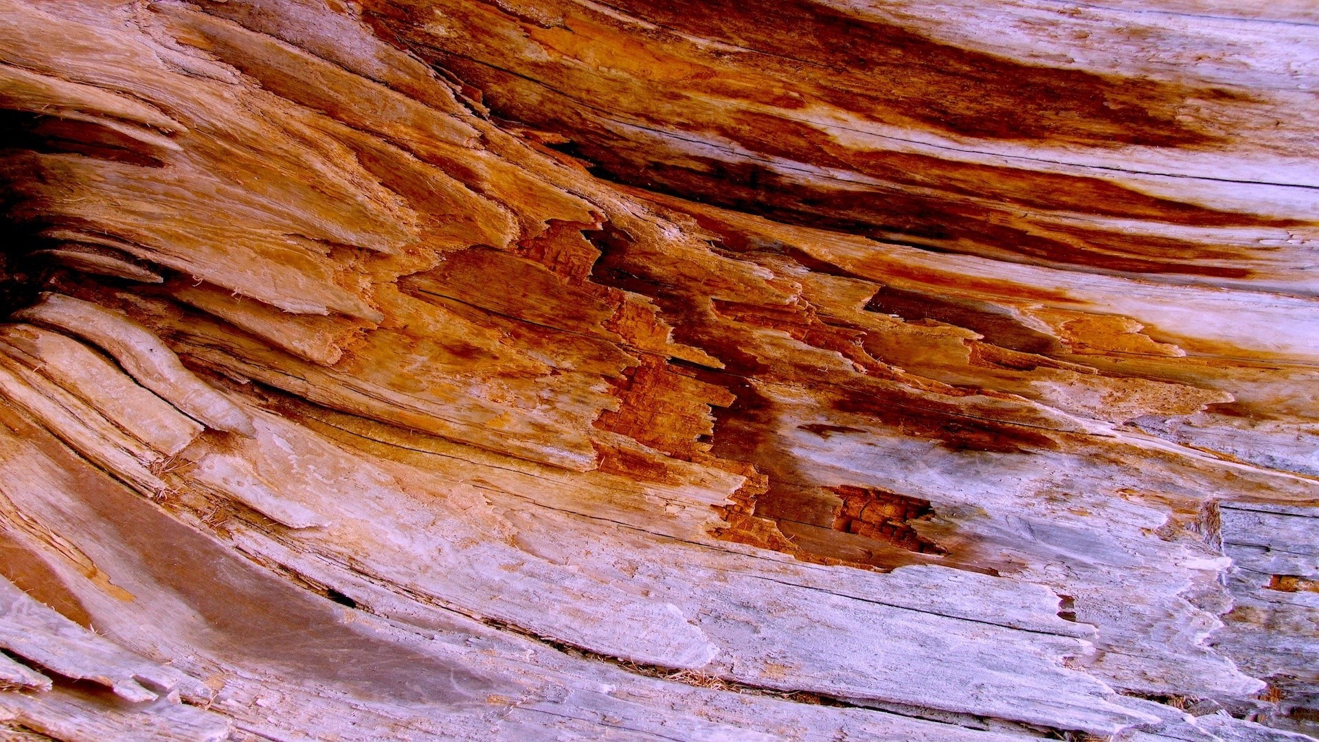 macro textura geologia área de trabalho padrão rude sujo natureza difícil abstrato ao ar livre tecido