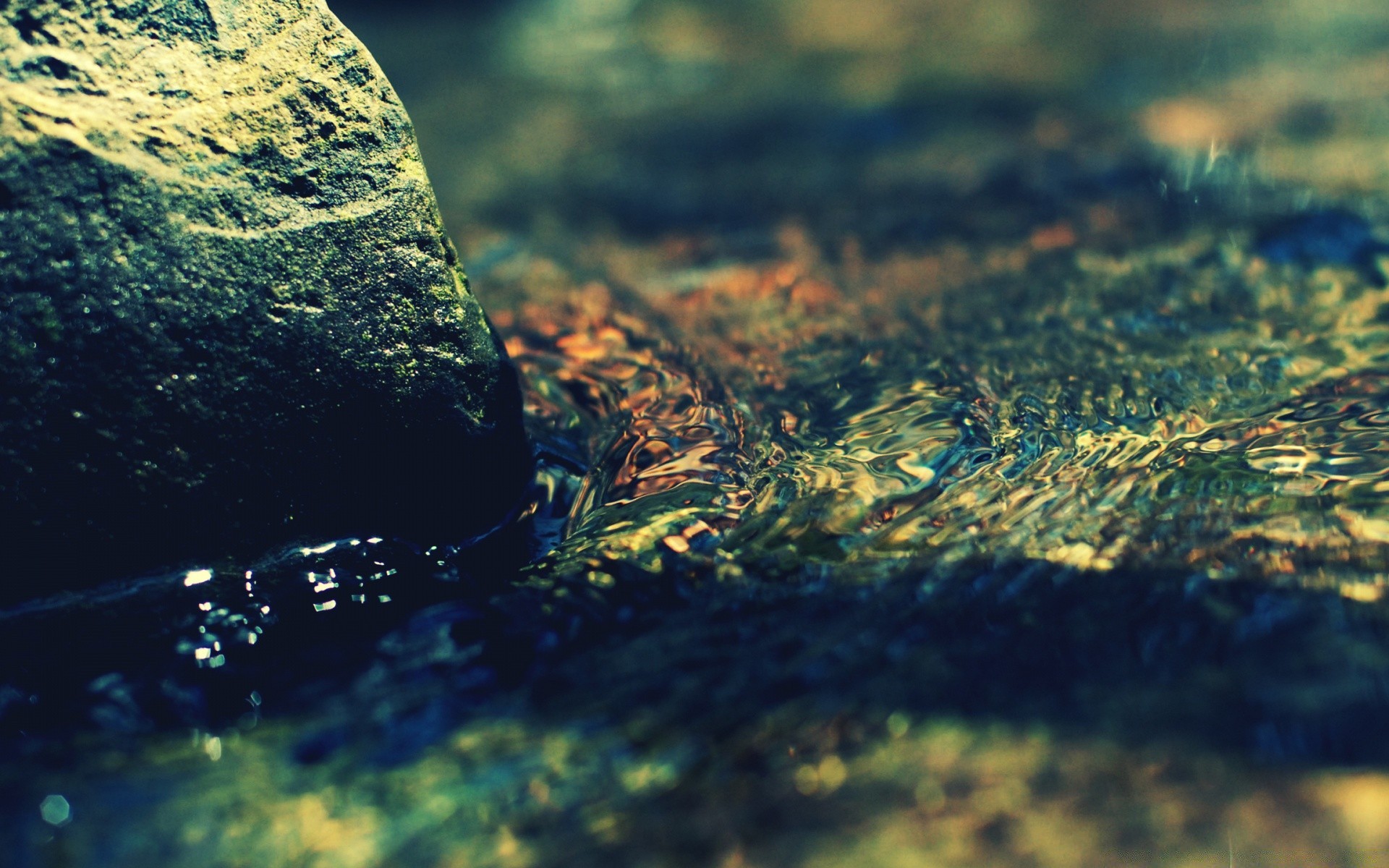 makroaufnahme natur wasser im freien gazoo umwelt landschaft desktop fluss reisen rock tageslicht moos baum meer