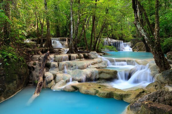 Hermoso río en la naturaleza entre las piedras