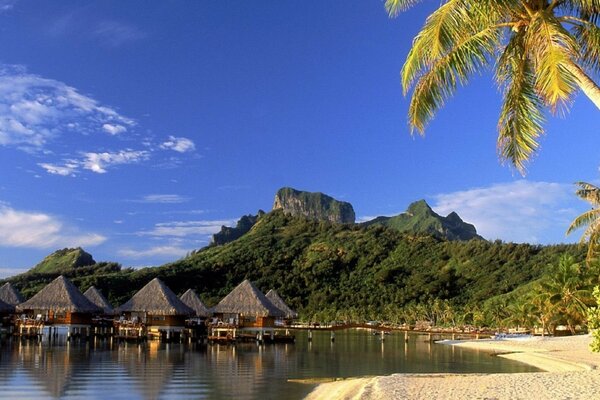 Palm trees and huts on the coast of a tropical island