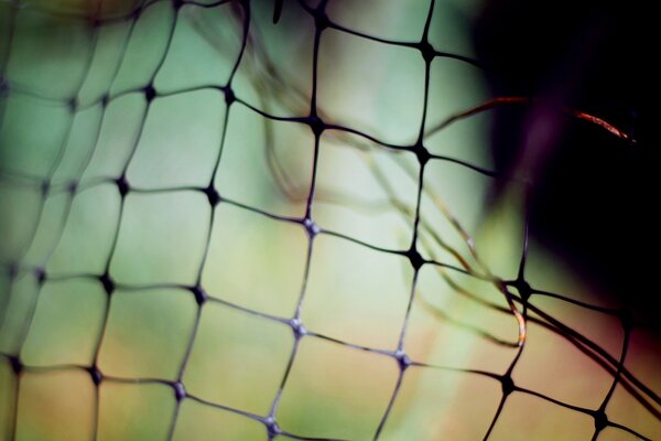 Macro photography of the football net. Iron mesh