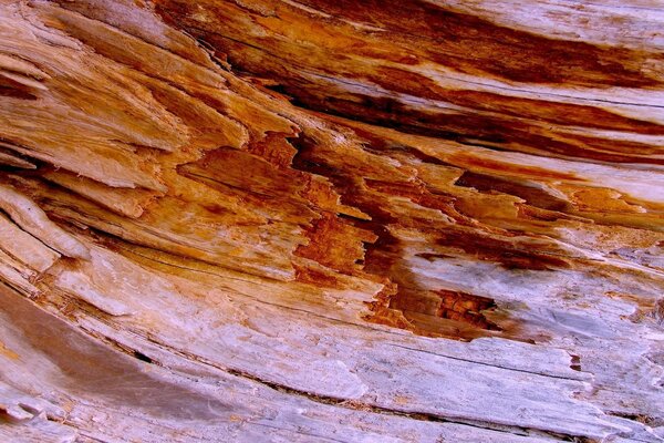 Makroaufbau der braunen Holzstruktur