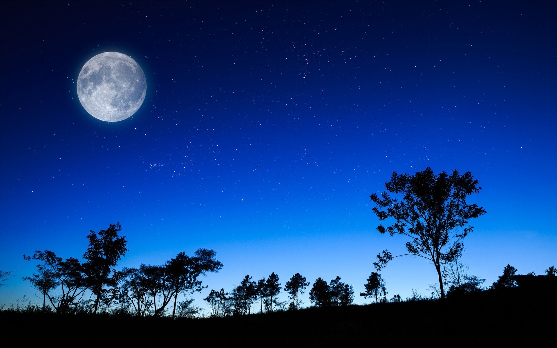 coucher de soleil et aube lune ciel astronomie espace soleil nature sombre soir minuit crépuscule pleine lune arbre lumière silhouette paysage aube galaxie à l extérieur coucher de soleil