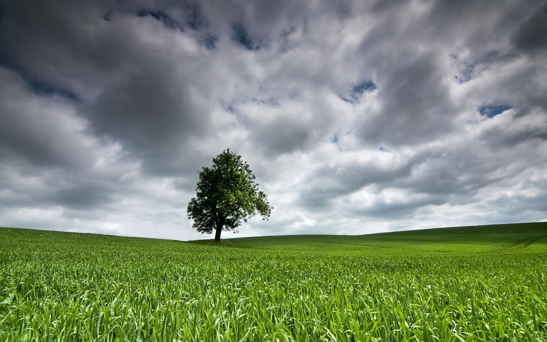 fields meadows and valleys field rural pasture countryside grass farm nature sun hayfield fair weather landscape growth agriculture sky soil idyllic cloud summer