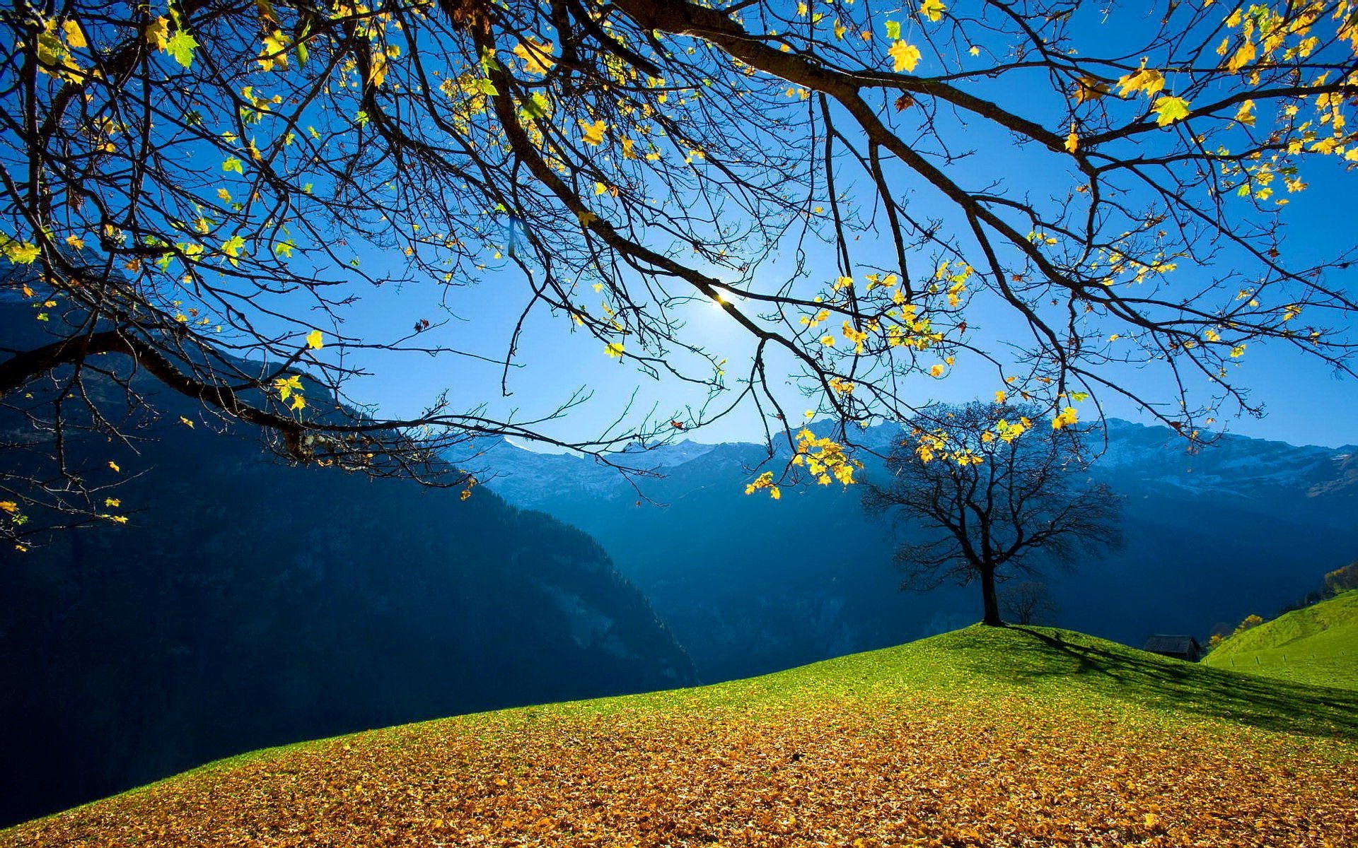 montanhas árvore paisagem natureza cênica ao ar livre outono amanhecer céu ramo folha madeira água bom tempo temporada luz do dia lago